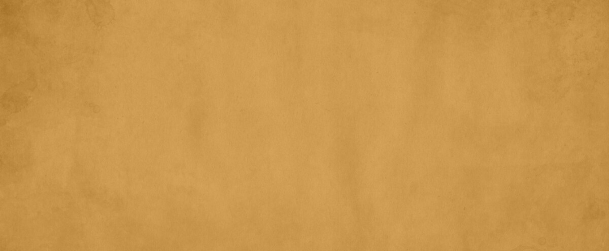 colibri-yellow-bg